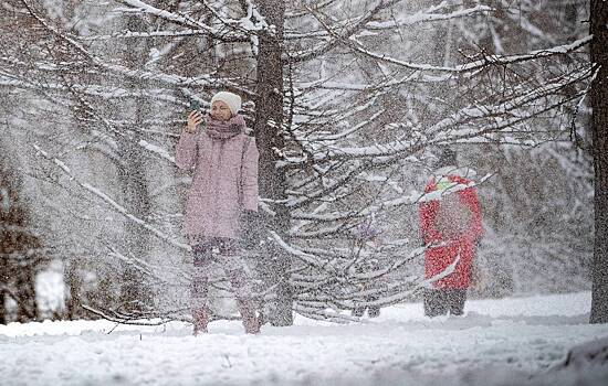 В Москве снежный покров вырастет до 4 сантиметров