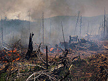 Начальник "Оборонлеса" рассказал о беспилотниках для обнаружения пожаров