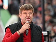 Губерниев назвал Вяльбе «необразованной бабулей»