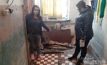 Курск. В аварийном общежитии покосились стены и завелись лягушки