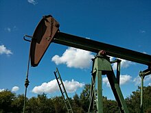 В 2021 году экспорт российской нефти может составить до 230 млн тонн