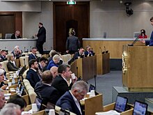 В Государственной Думе прошел «правительственный час» по вопросам организации отдыха и оздоровления детей