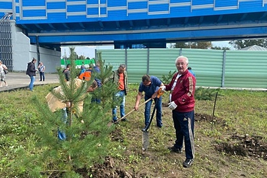 Одинцовские единороссы высадили саженцы сосны в Жаворонках