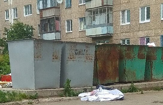 Жительница Урала убила младенца и выбросила в мусорный бак