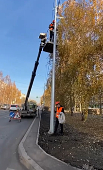 На улице Академика Павлова монтируют иллюминацию