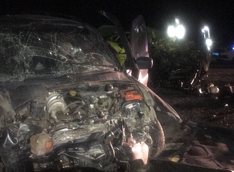 Четыре человека погибли в ДТП на трассе в Нижегородской области