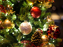 16 елочных базаров открылись в Одинцовском округе