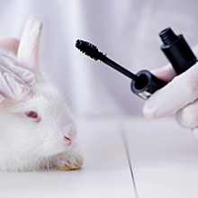 В Калифорнии запретили тестировать косметику на животных