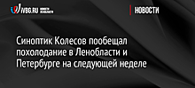 Синоптик Колесов пообещал похолодание в Ленобласти и Петербурге на следующей неделе