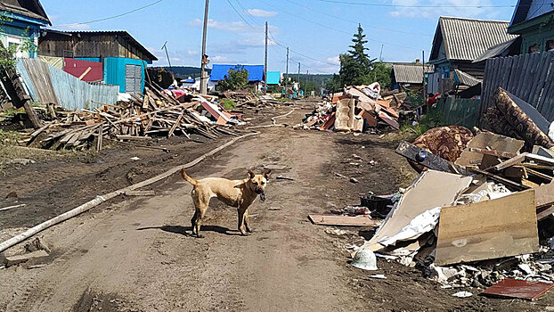 В Иркутской области эвакуированы четыре деревни