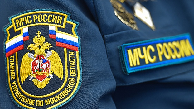 МЧС предложило поднять штрафы за возгорание в лесу до 4 млн рублей