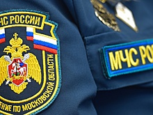 МЧС предложило поднять штрафы за возгорание в лесу до 4 млн рублей