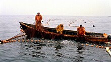 Эксплуатация коренных народов Севера, «промышленное браконьерство» и другие способы добычи рыбы в Магадане