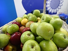 Волгоградская область вошла в топ-20 регионов России по приверженности ЗОЖ