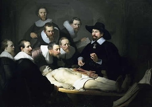 Легкие и другие органы, без которых может прожить человек