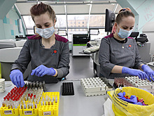 «Ставим на паузу»: «Инвитро» приостановила тестирование на антитела