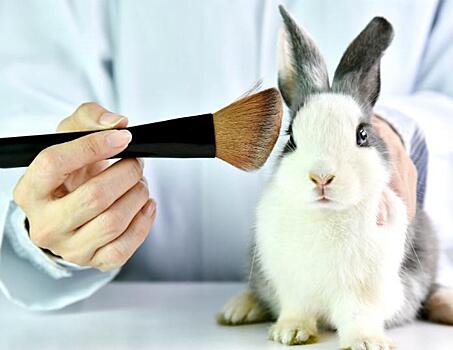Beauty-истории: косметические компании, которые обвинялись в жестоком обращении с животными