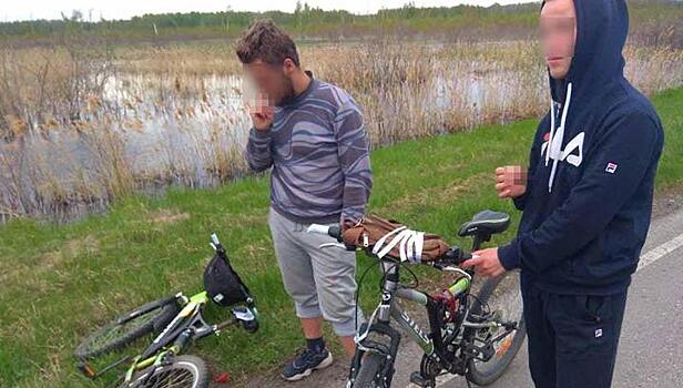 Новосибирские меломаны украли у школьников велосипеды ради поездки на концерт в Москву