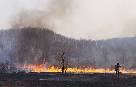 В Дагестане загорелся лес