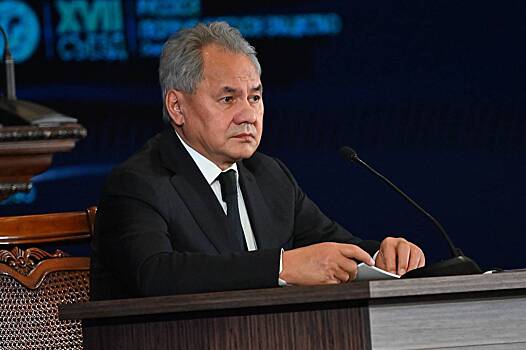 Шойгу заявил о попытках западных спецслужб устраивать диверсии в России