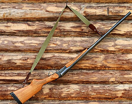 Охотник рассказал, можно ли верить рассказу Рашкина про лося