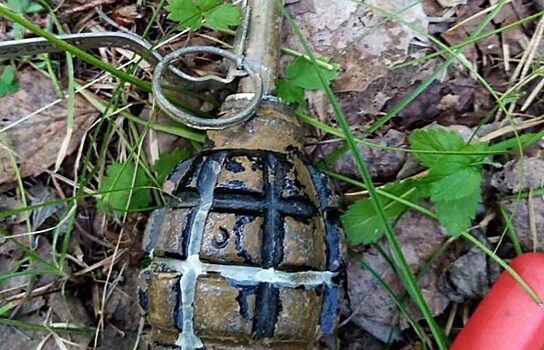 Свердловские росгвардейцы обследовали предмет, оставленный на капоте авто