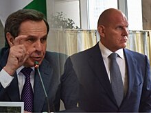 Новосибирские сенаторы Совета Федерации Карелин и Городецкий отчитались о доходах за 2020 год
