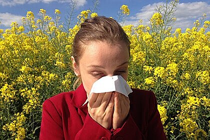 Названы пять способов справиться с симптомами аллергии на пыльцу