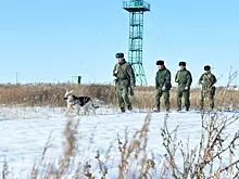 Болгары резко отреагировали на инцидент с РФ и Украиной