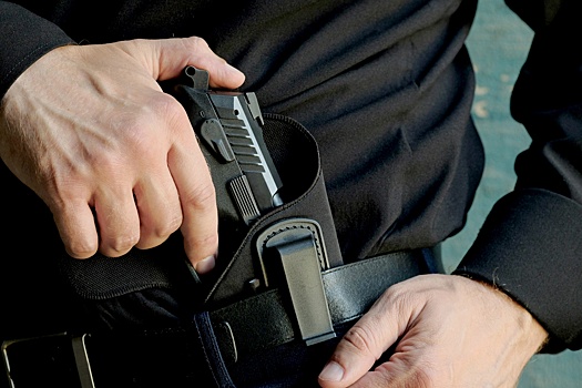 Госдума приняла закон о частных охранниках