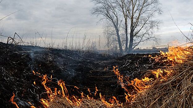 В Мордовии загорелись одиннадцать нежилых и одно жилое здание