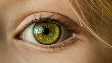 Ученые объяснили опасность синего света для зрения