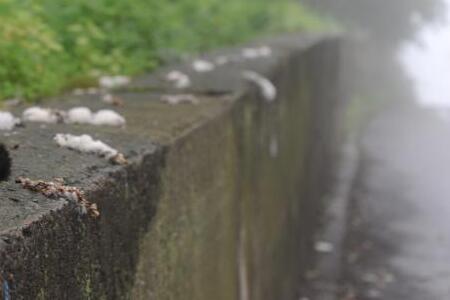 В Приморье в ближайшие выходные возможен дождь