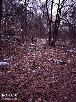 В Заводском районе Саратова появился парк мусора