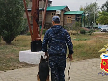 За поджог деревянного креста возле храма в Соль-Илецке оренбургская полиция задержала женщину