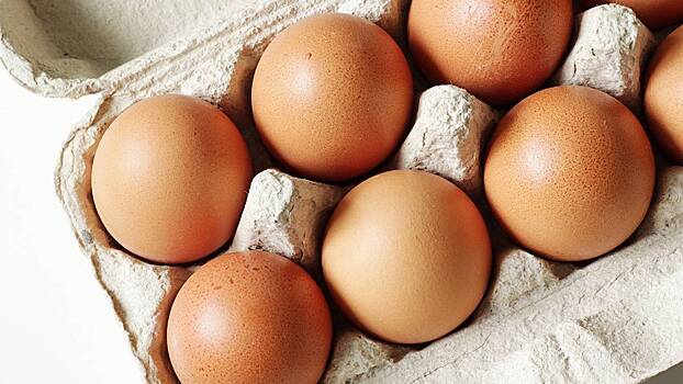 Аналитик Кашин объяснил, почему стоимость яиц в России остается высокой