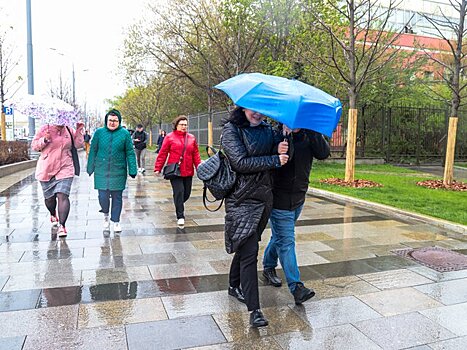 Синоптик Позднякова спрогнозировала дожди и похолодание в конце недели в Москве