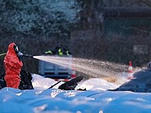 Рогозин назвал гибель супруги владельца S7 личной трагедией