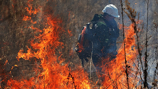 В МЧС высказались о лесопожарной ситуации в России