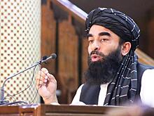 Афганистан: Талибан* запросил российскую политическую «крышу»