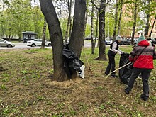 В Теплом Стане прошел субботник