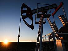 Цены на нефть перешли к росту