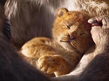 Новый Симба и Суворов с жабами: 8 главных трейлеров прошлой недели