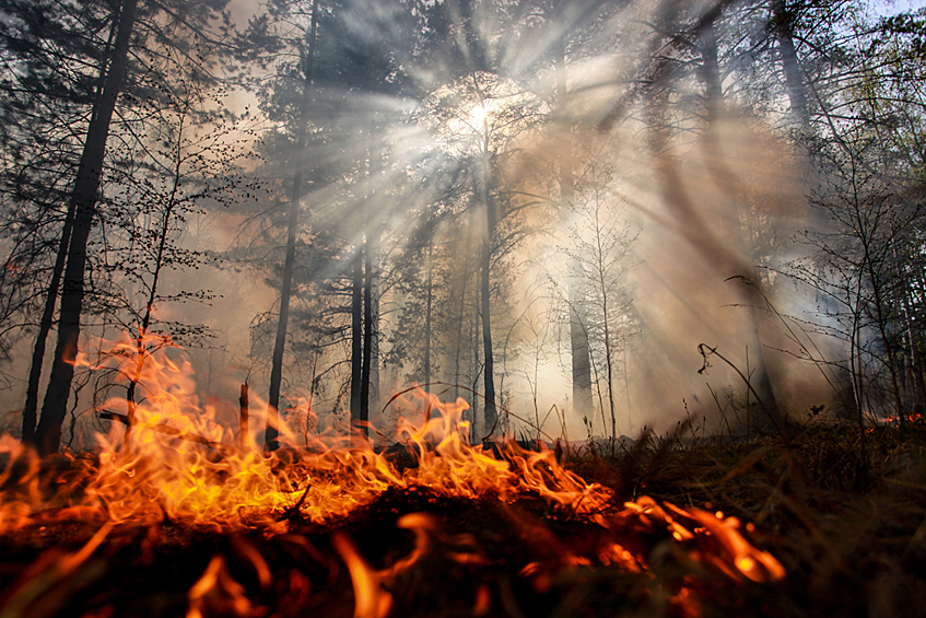  Лесное пожары бушевали в Сибири. По данным от 1 декабря экономический ущерб от пожаров в РФ в этом году составил 14,5 миллиарда рублей.
