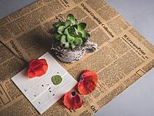 Как блокчейн может спасти журналистику