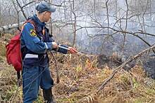 В Новосибирской области число пожаров за неделю выросло в три раза