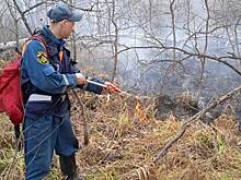 В Новосибирской области число пожаров за неделю выросло в три раза