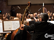 Рок-хиты и концерты для самых маленьких. Чем удивляла Омская филармония в этом сезоне?