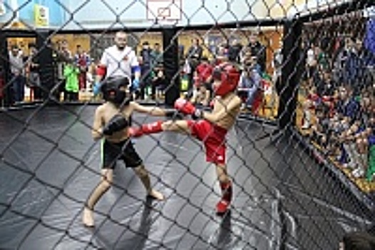 В ГБУ «ФАВОРИТ» прошел XVIII открытый турнир района Крюково по рукопашному бою