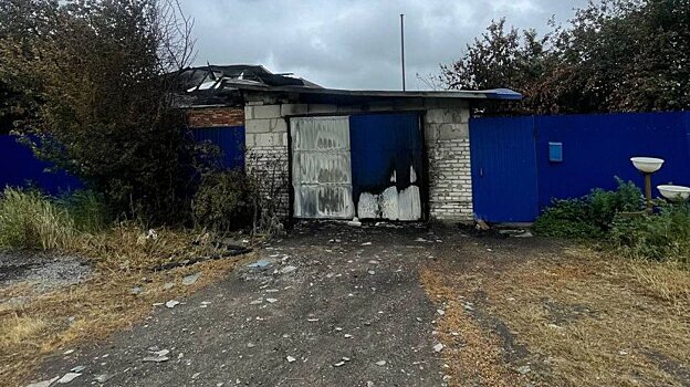 В Колышлейском районе 30-летняя женщина погибла из-за поджога